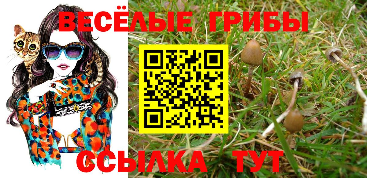 Галлюциногенные грибы Magic Shrooms Кимовск
