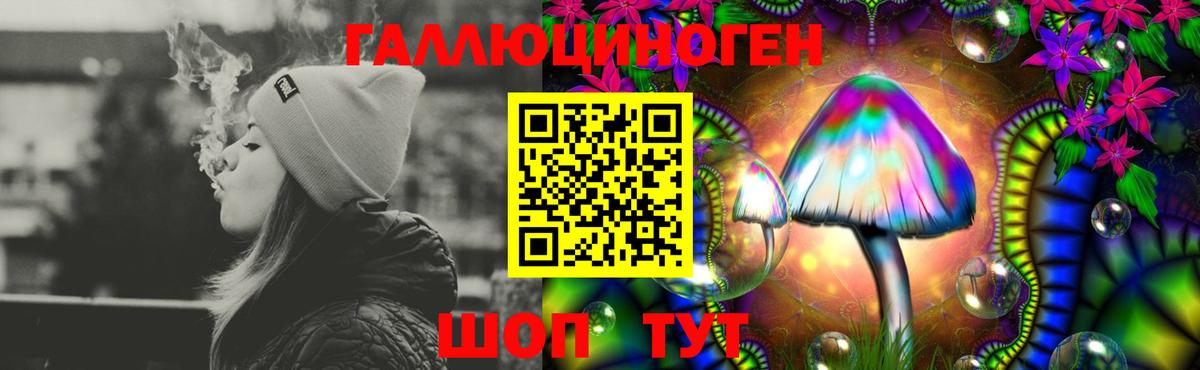 Кимовск  Галлюциногенные грибы MAGIC MUSHROOMS  Вход с VPN  Псилоцибиновые грибы Magic Shrooms 
